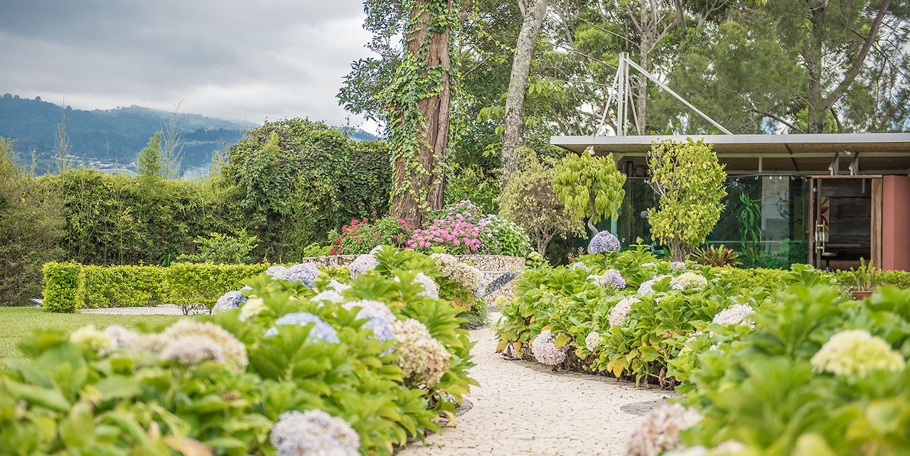 luxury home gardens