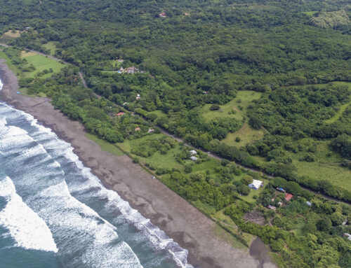 ¿Cuáles son los beneficios de establecer una empresa para patrimonio en Costa Rica?