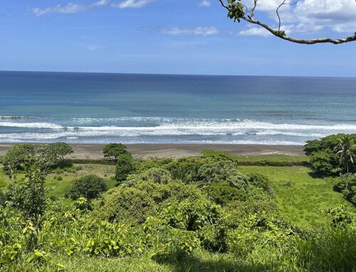 Ostional: Hottest Beach Home Market just North of Nosara