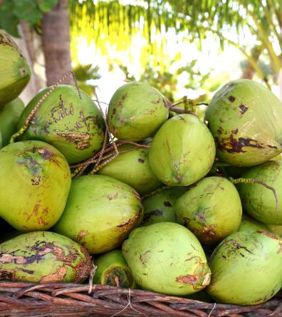 Western area of San José-2 Caribbean