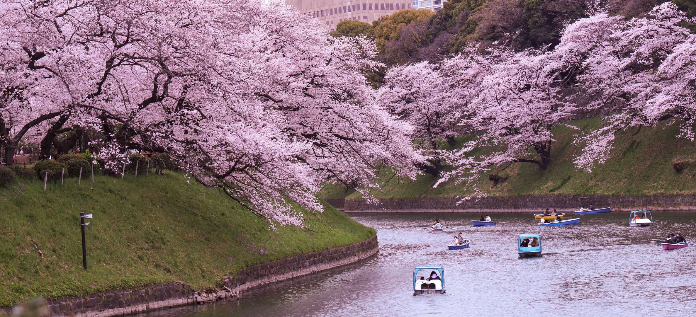 Mercado Inmobiliario en Japón
