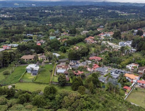 Ave del Paraíso: Life in the Mountains of Heredia