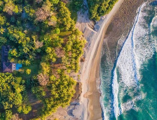 The Agency Santa Teresa: Expertos locales. Alcance global. Servicio boutique.