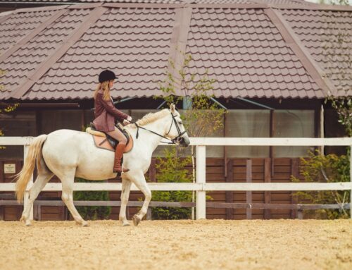 Impulso, Movimiento y Bienes Raíces: El Año del Caballo en Costa Rica
