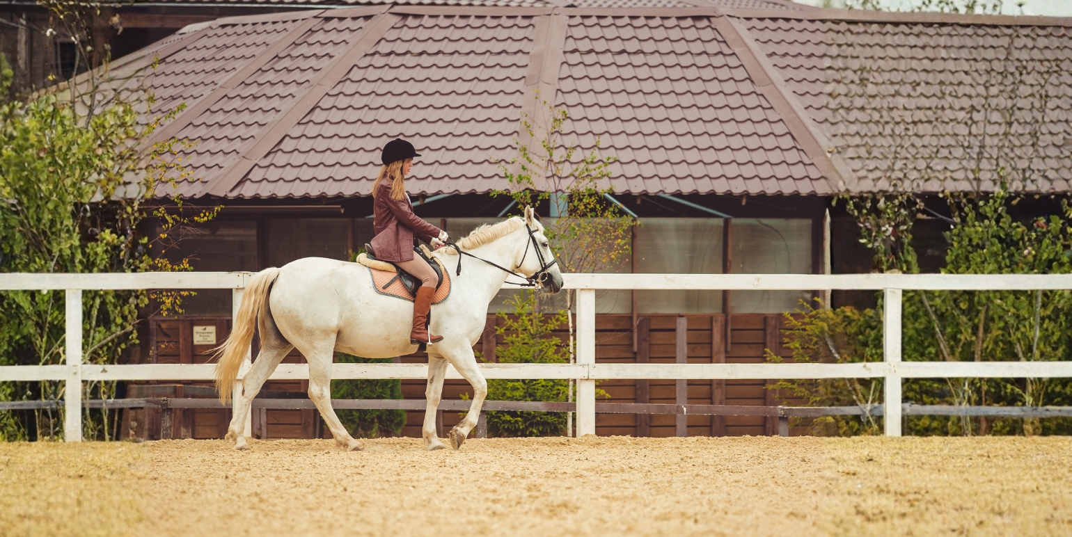 Momentum, Movement, and Real Estate: The Year of the Horse in Costa Rica